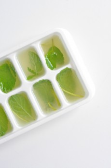 mojito-ice-cubes