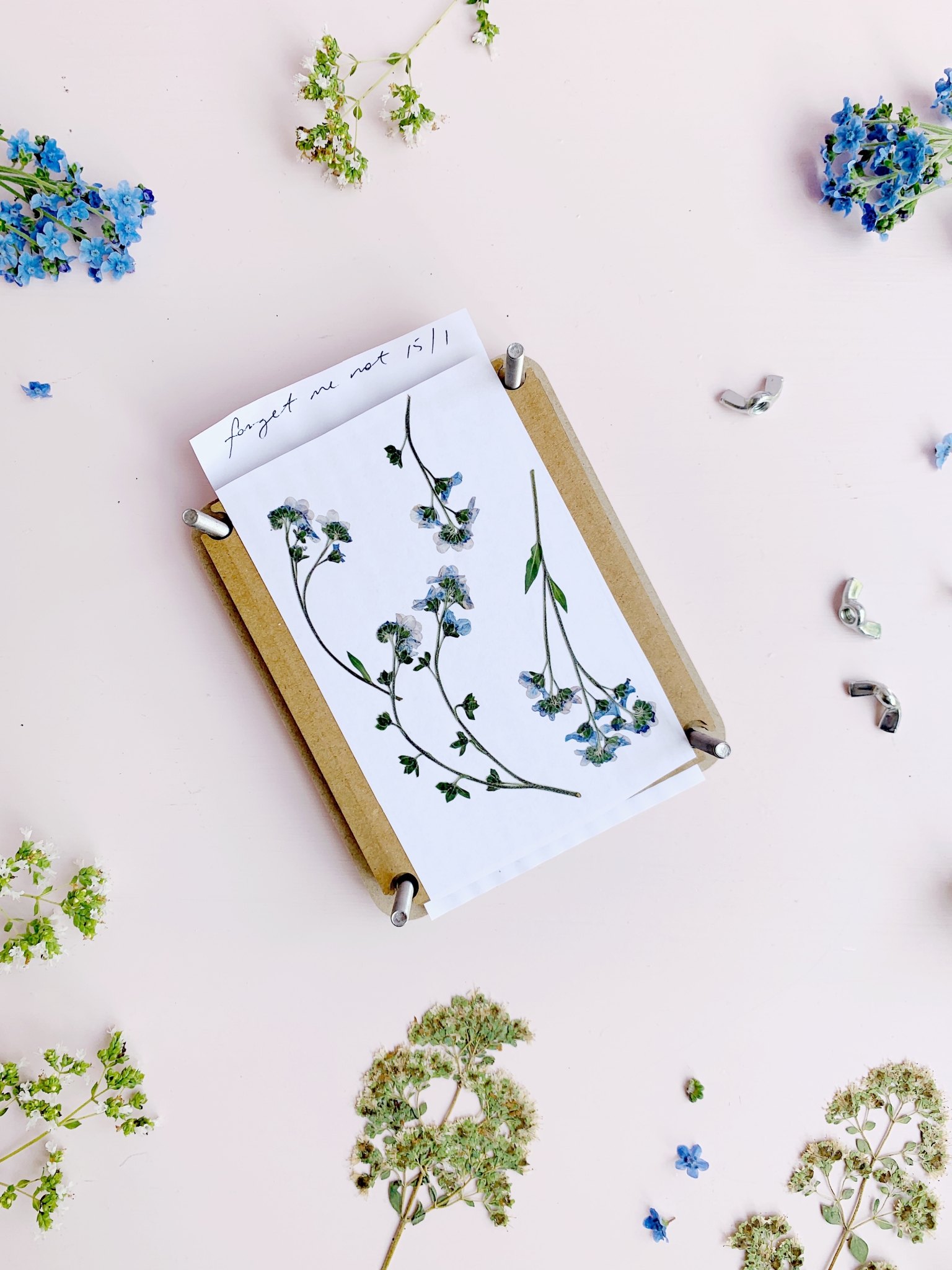 Pressed Flower Display Frame DIY Tutorial Polka Dot Wedding