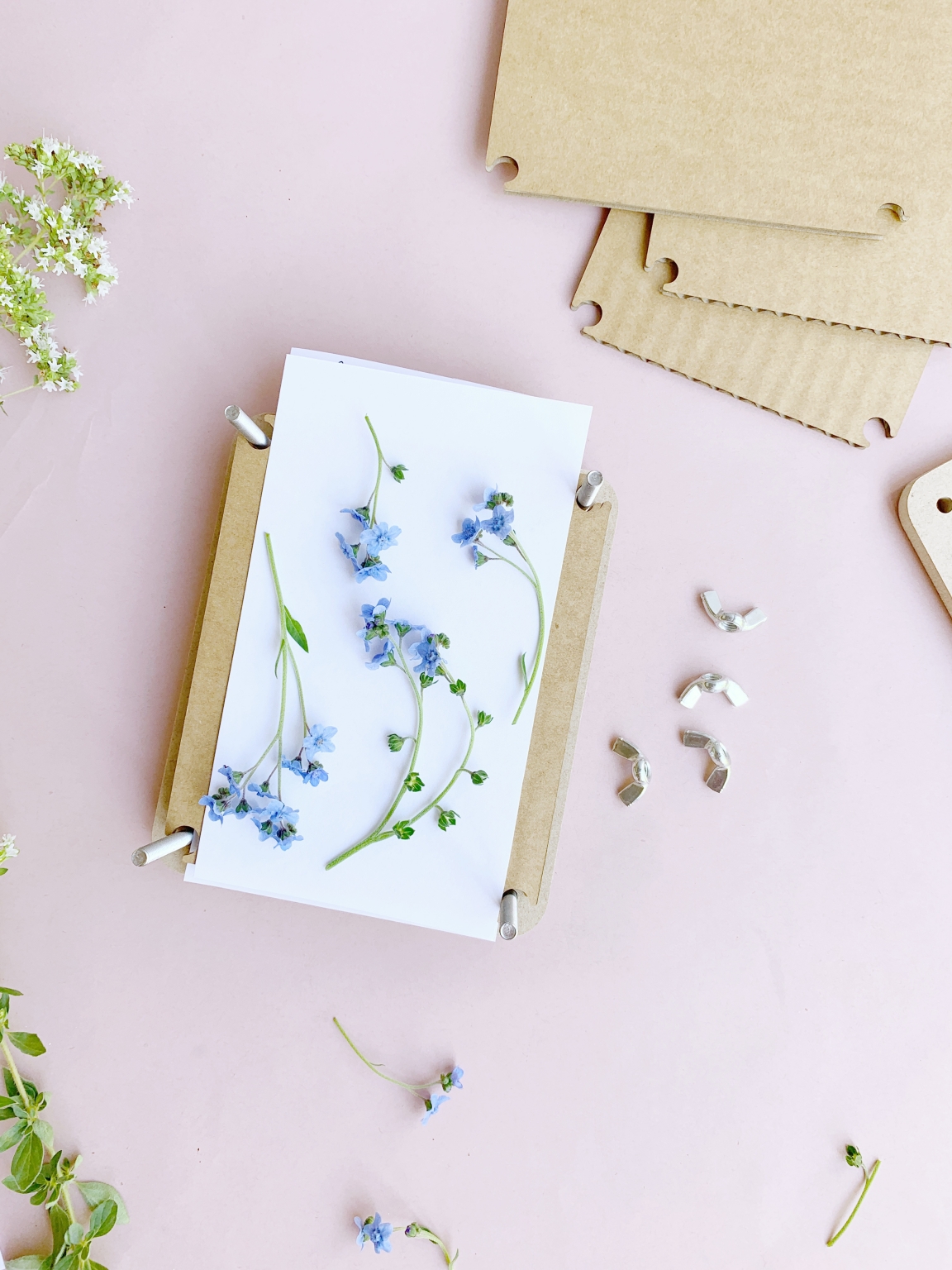 Pressed Flower Display Frame DIY Tutorial Polka Dot Wedding