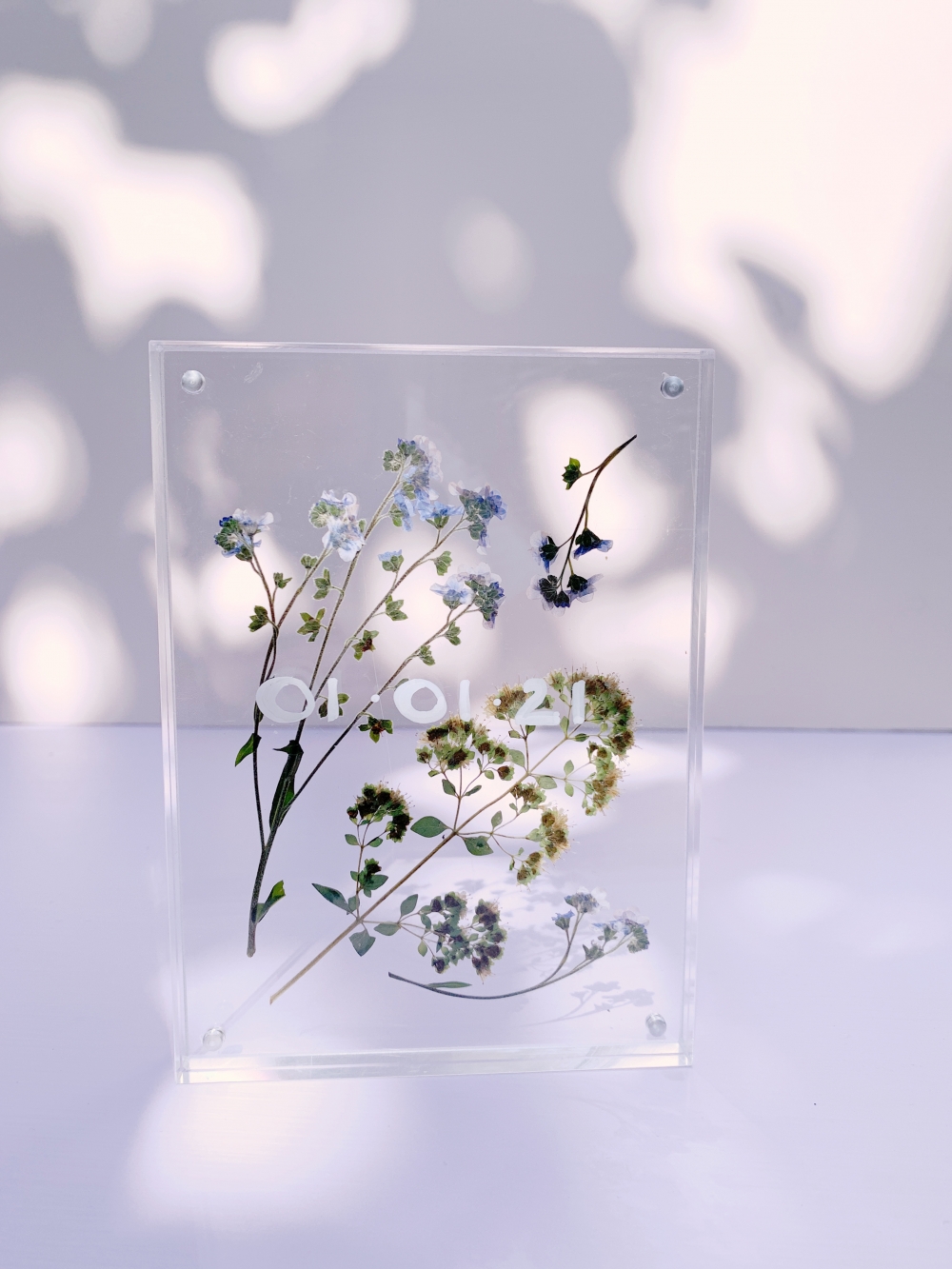 Pressed Flower Display Frame DIY Tutorial Polka Dot Wedding