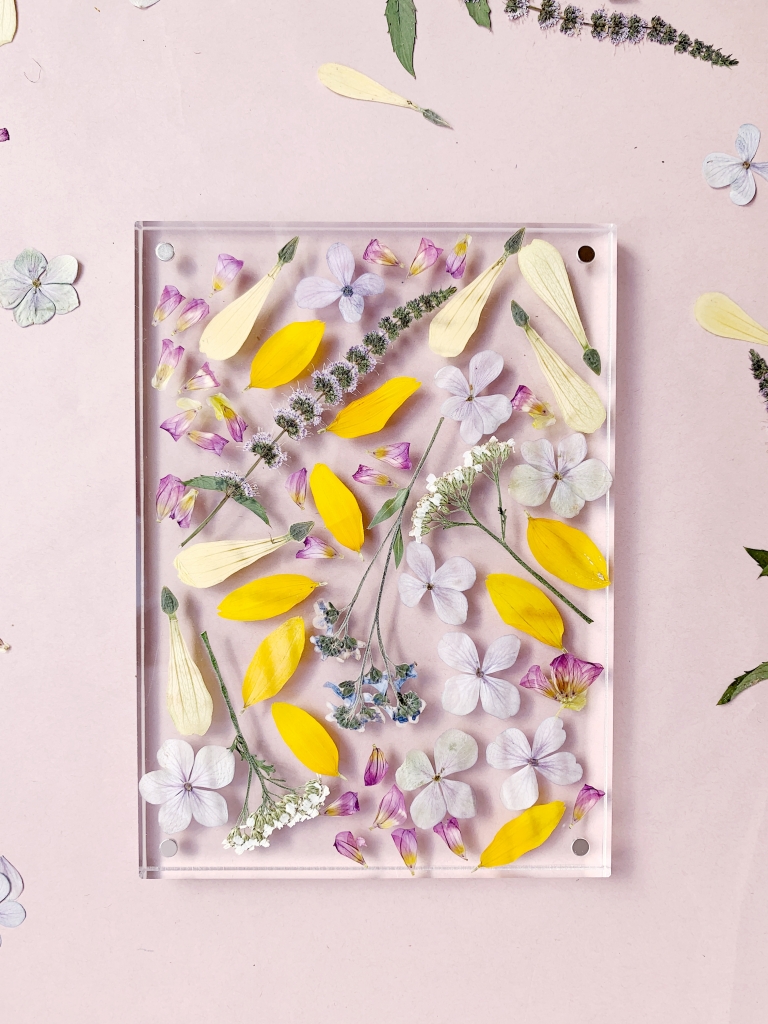 Pressed Flower Display Frame DIY Tutorial Polka Dot Wedding