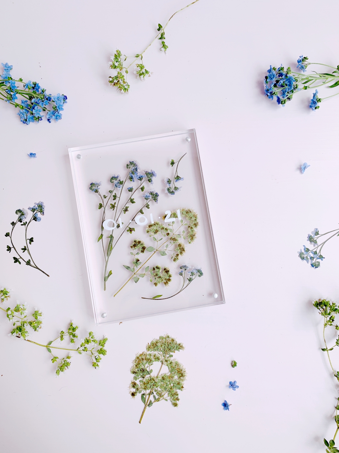 Pressed Flower Display Frame DIY Tutorial Polka Dot Wedding