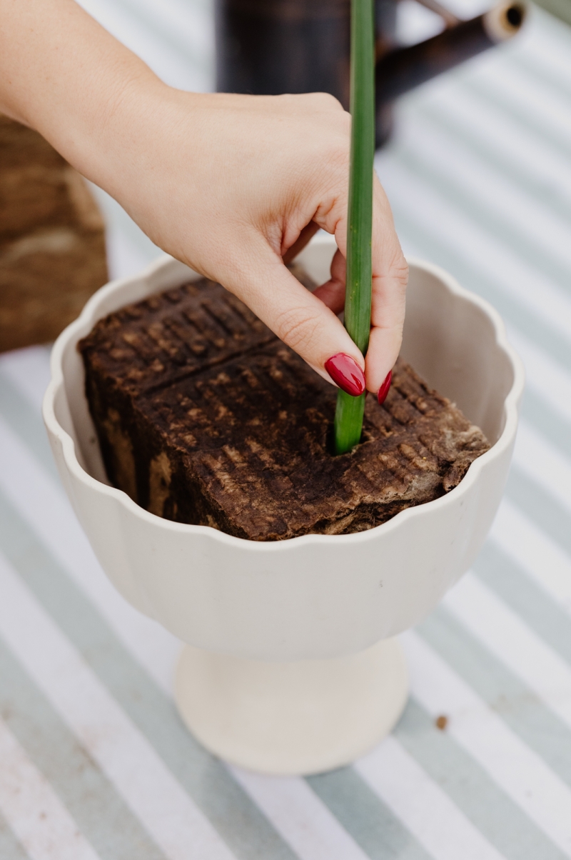 A hand is pushing a flower stem into the AgraWool Sideau sustainable floral foam alternative