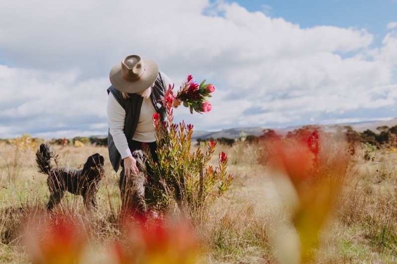 Nikki Davey from Grown Not Flown is walking through her flower farm holding handpicked seasonal flowers with her dog by her side