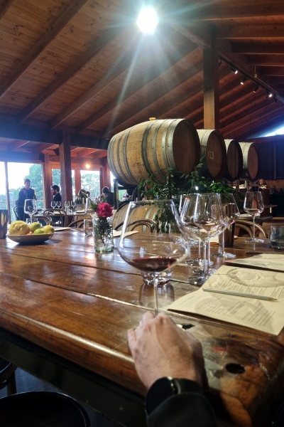 A visit to Avani Wines