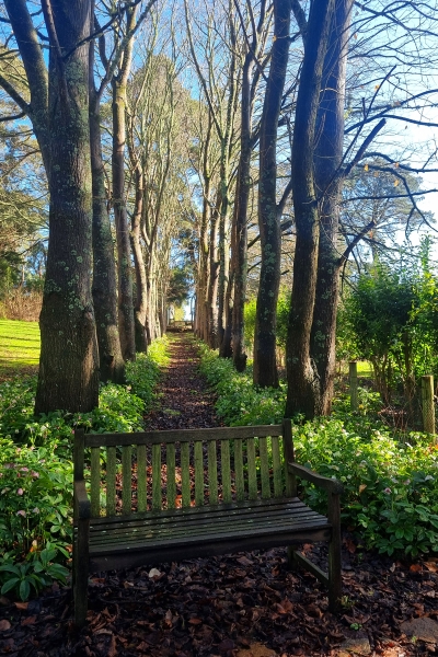The estate grounds at Lancemore Lindenderry Red Hill
